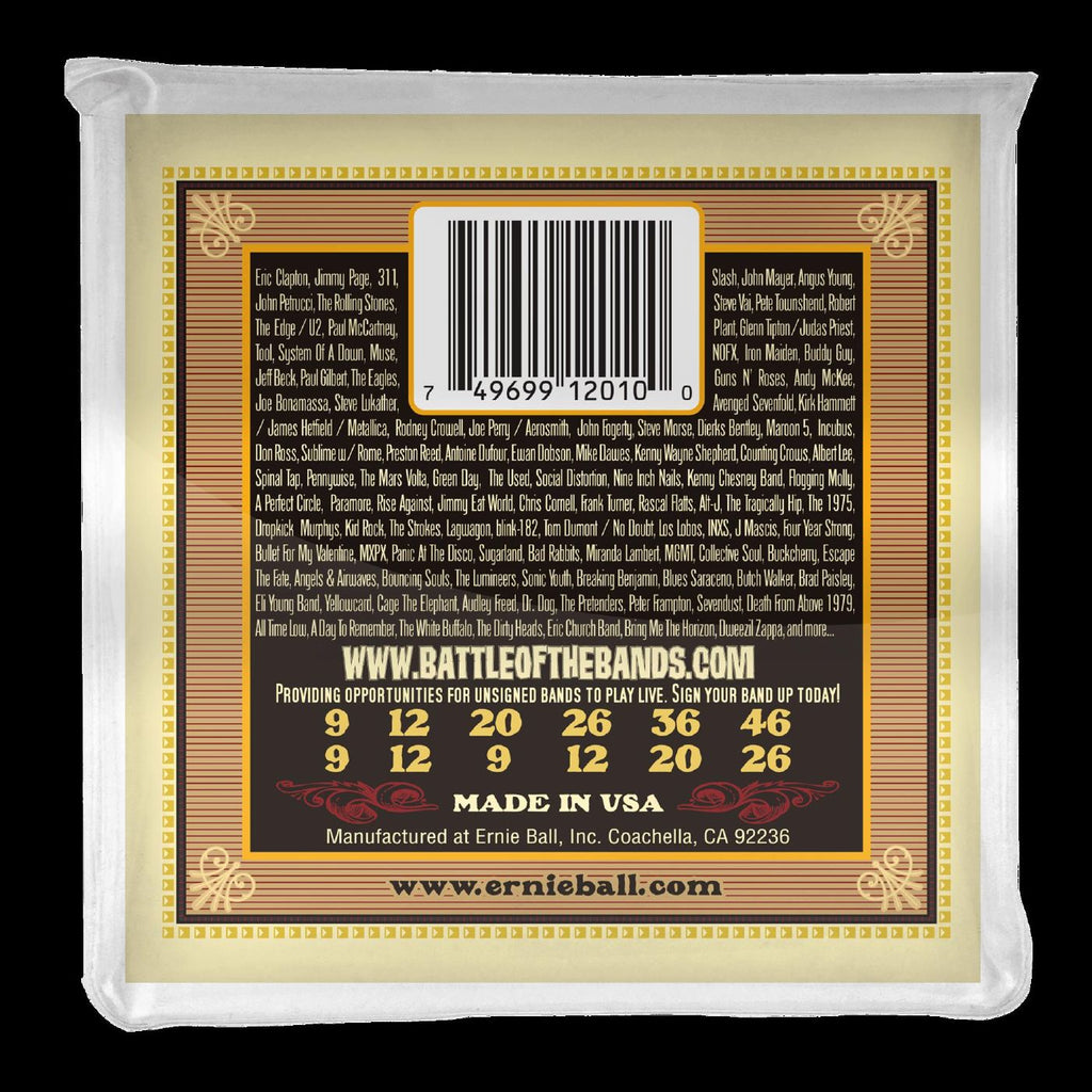 Ernie Ball 2010 Earthwood Light 12-String 80 20 Bronze Acoustic Guitar Strings