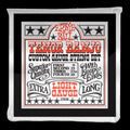Ernie Ball 2306 Light Loop End Stainless Steel Tenor Banjo Guitar Strings