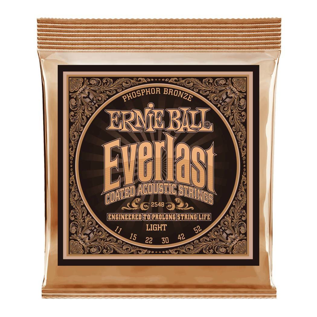 Ernie Ball 2548 Everlast Light Coated Phosphor Bronze Acoustic Guitar Strings