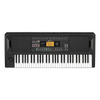 Korg EK-50 61 Key Entertainer Keyboard (EK50)