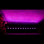 Chauvet DJ Colorband Q4 IP LED Strip Light