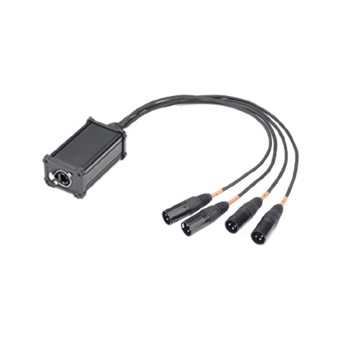 SoundKing Audio Over Cat Tails 3 Pin Male