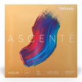 D'Addario A310 Ascente Violin String Set - 1/2 Medium