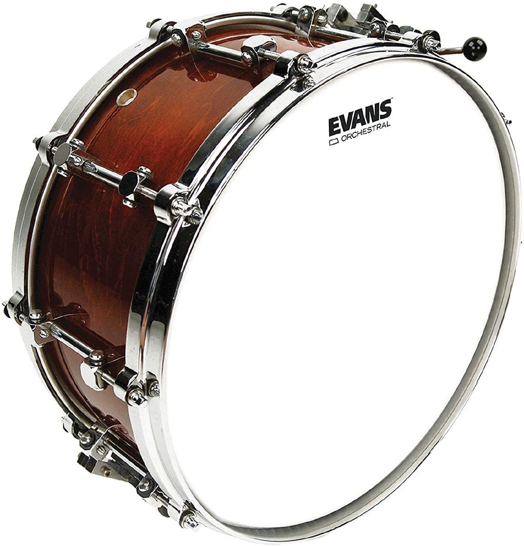 Evans Orchestral Coated White Snare Drum Head, 14 Inch