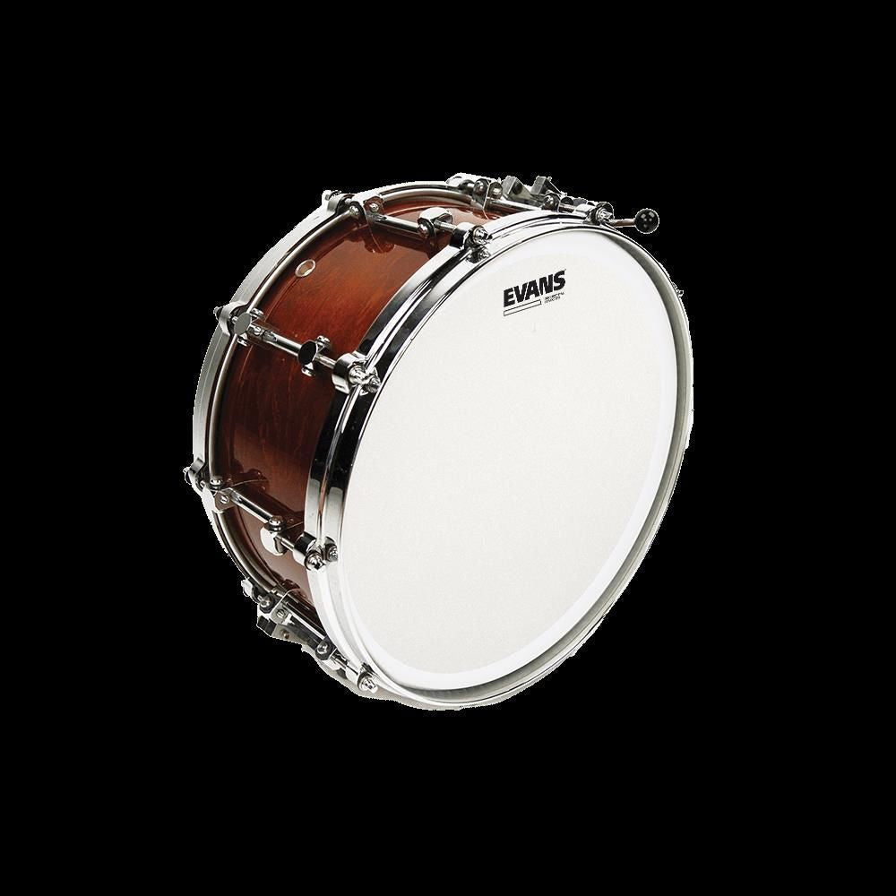 Evans Orchestral Stacatto Coated White Snare Drum Head, 14 Inch
