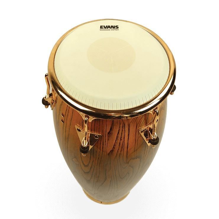 Evans Tri-Center Conga Drum Head, 12.50 Inch