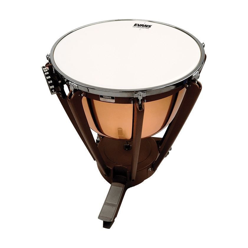 Evans Orchestral Timpani Drum Head, 24.25 inch