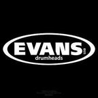 Evans MX Frost Marching Tenor Drumhead, 6 Inch