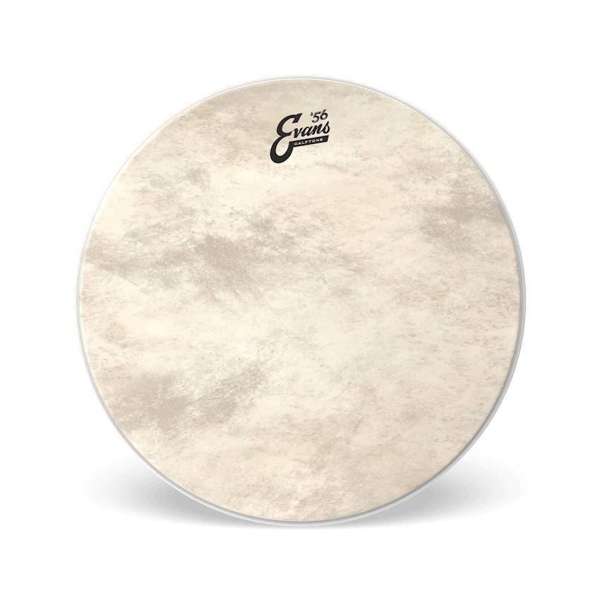 Evans Calftone Resonant Floor Tom 16 Inch