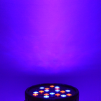 AVE Quad Pro-Flat RGBW LED Par Can 36 x 3W (Display)