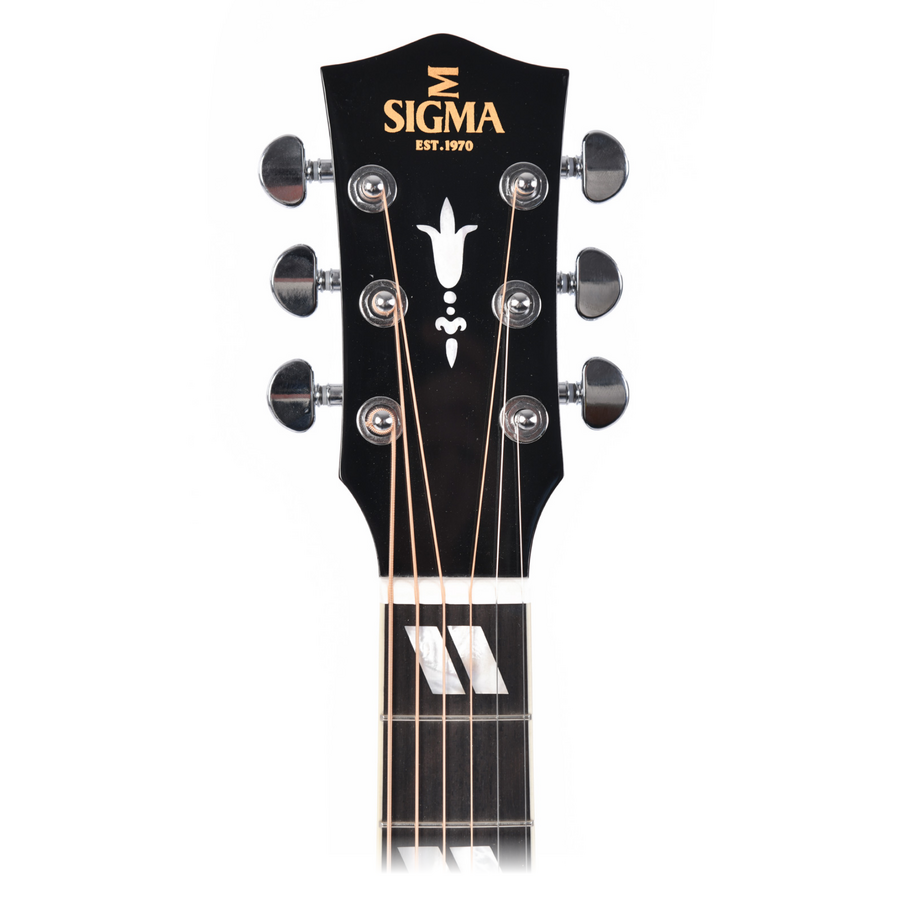 Sigma DM-SG5 Hummingbird dreadnought acoustic guitar showing the front view with natural wood finish and detailed soundhole design.