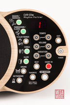 BOSS DR-01S Rhythm Partner (Acoustic Musician Percussion Module) DR01S