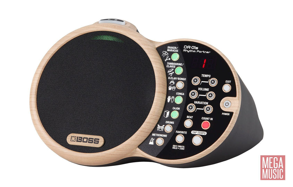 BOSS DR-01S Rhythm Partner (Acoustic Musician Percussion Module) DR01S