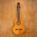 Salvador Ibanez GA40-SFCE Acoustic Guitar (GZ150702358) - Preloved