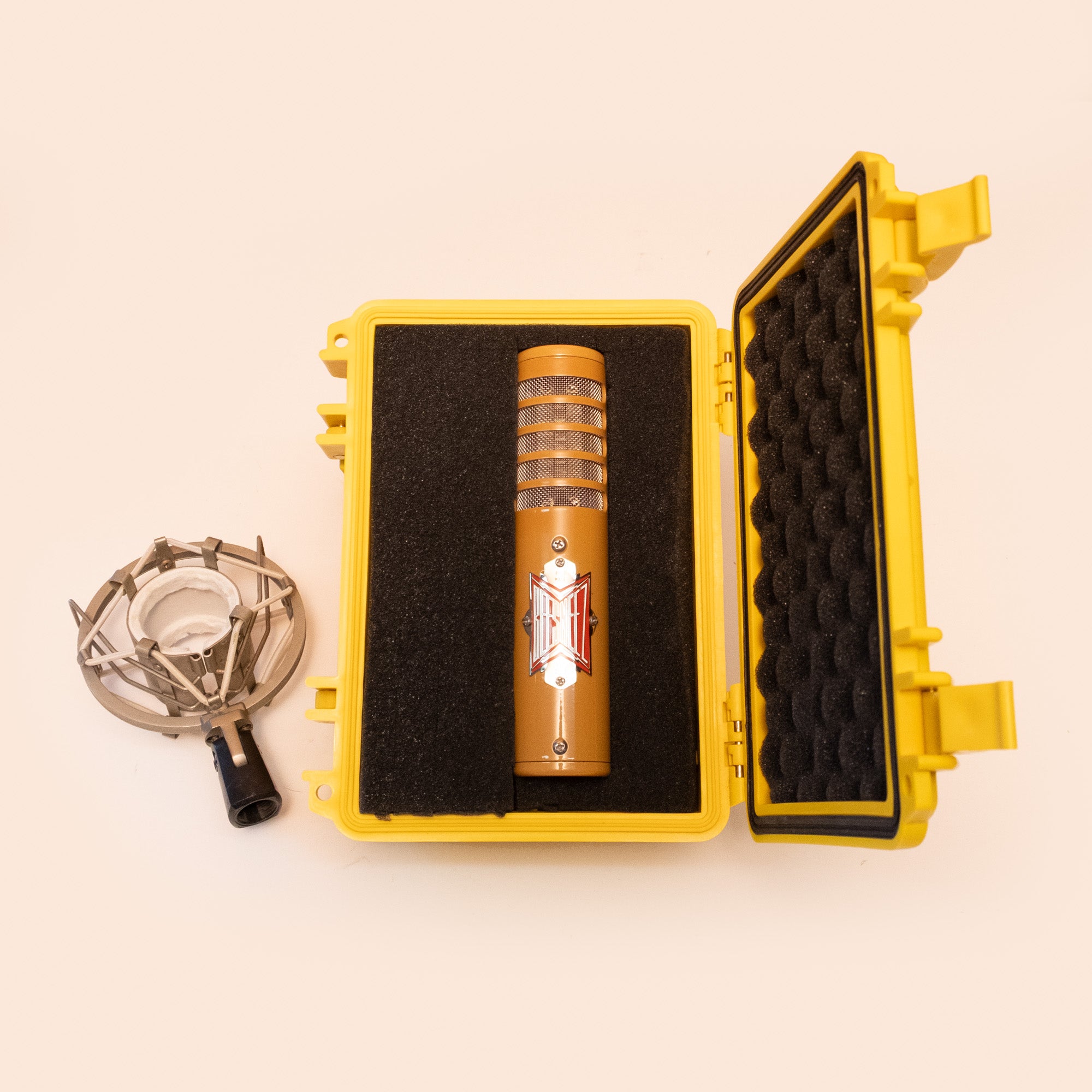 BeesNeez Judas Ribbon Mic inc Hardcase and Shockmount (006) - Preloved