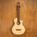 Washburn D8E Acoustic Guitar (SC04090193) - Preloved