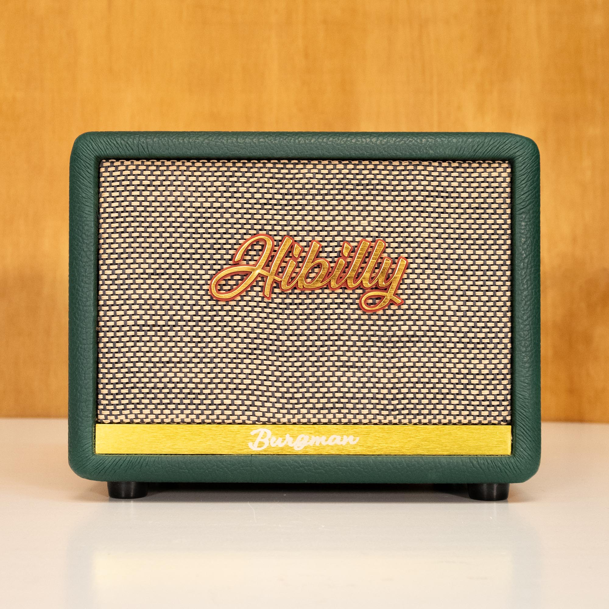 Hibilly Burgman Portable Guitar Amplifier Combo with Bluetooth (HB2025010215) - Preloved