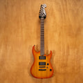 Washburn X200PROE Electric Guitar (07062729) - Preloved