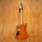 Washburn X200PROE electric guitar with a sunburst finish, showing the body, neck, and pickups in a natural playing position.