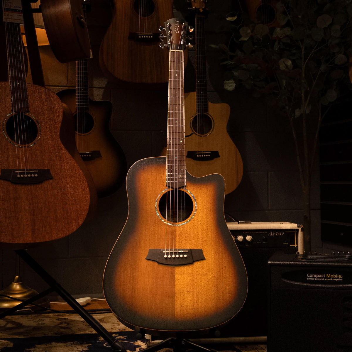 Cole Clark Studio FL1EC acoustic guitar with blackwood face, back, sides, and sunburst finish, showcasing its sleek design.