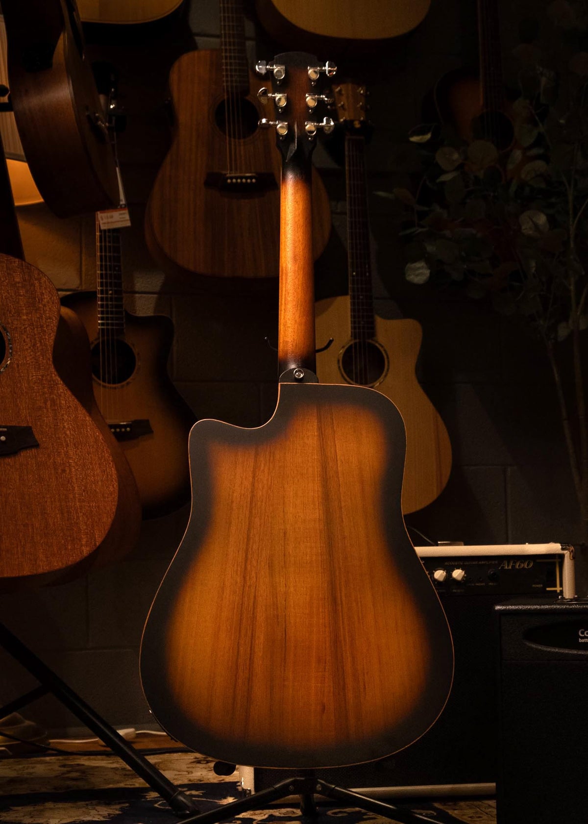 Cole Clark Studio FL1EC acoustic guitar with blackwood face, back, sides, and sunburst finish.