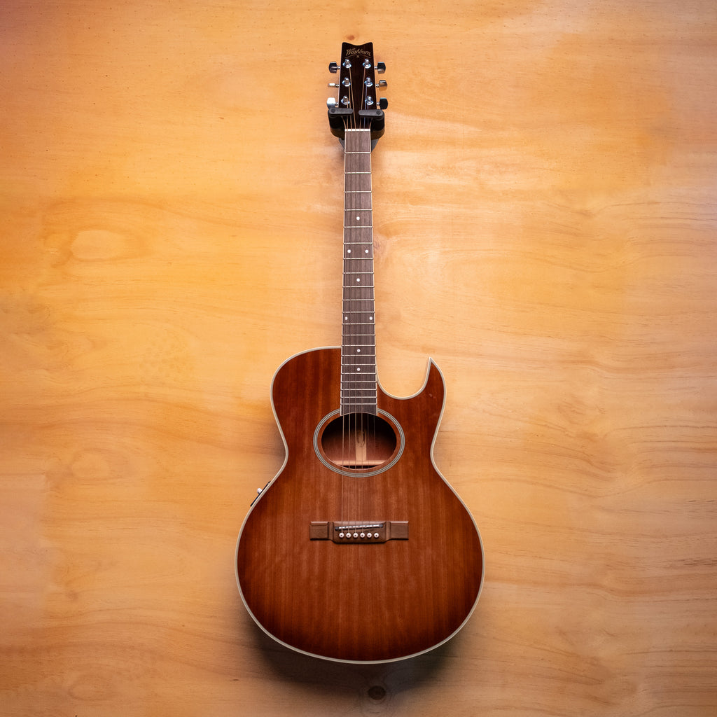 Washburn EA9 Acoustic Guitar - Preloved (1989900707)