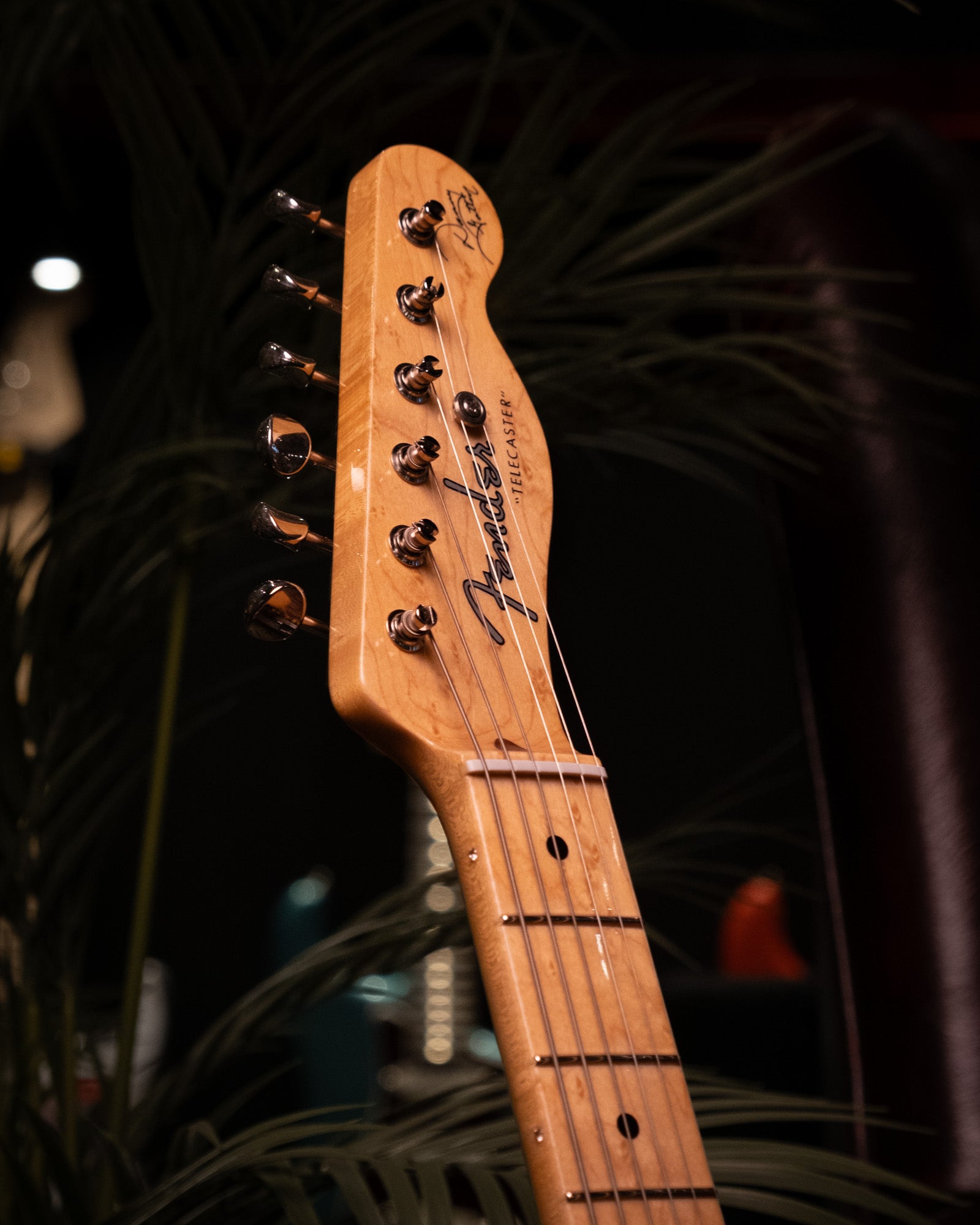Fender Custom Shop Danny Gatton Signature Telecaster Electric Guitar with Maple Fretboard in Frost Gold