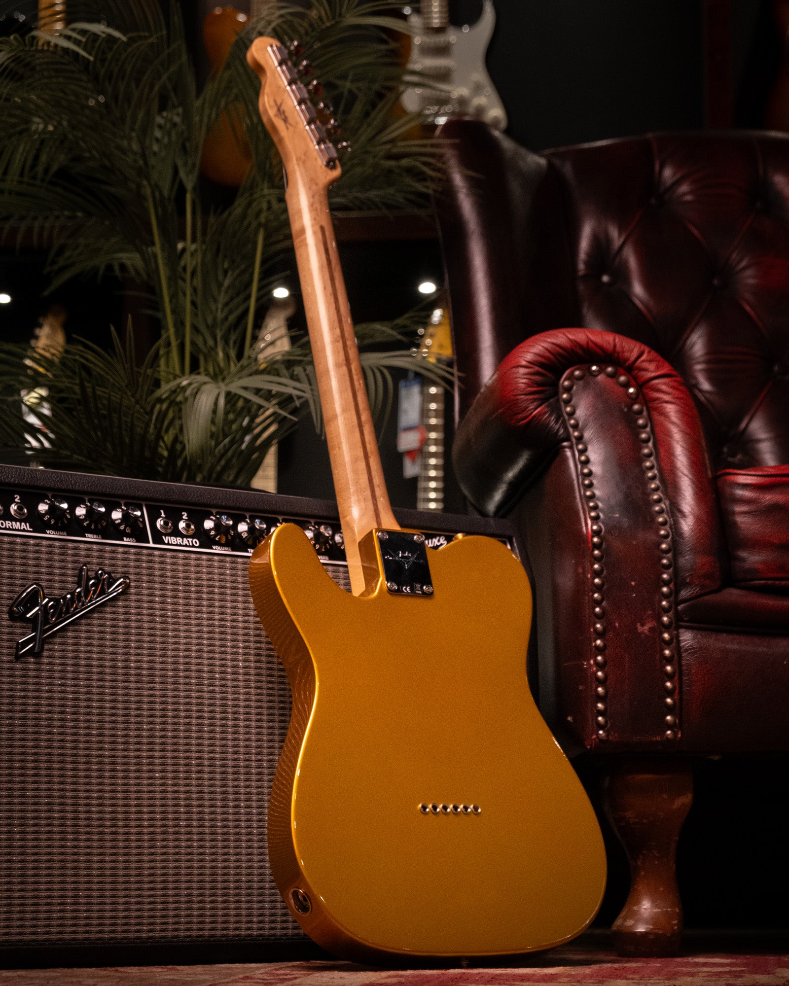 Fender Custom Shop Danny Gatton Signature Telecaster Electric Guitar with Maple Fretboard in Frost Gold