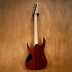 Ibanez RGR221PA Electric Guitar - Preloved (2Y04GS250601612)