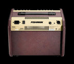 Fishman Loudbox Mini Bluetooth Acoustic Guitar Amplifier