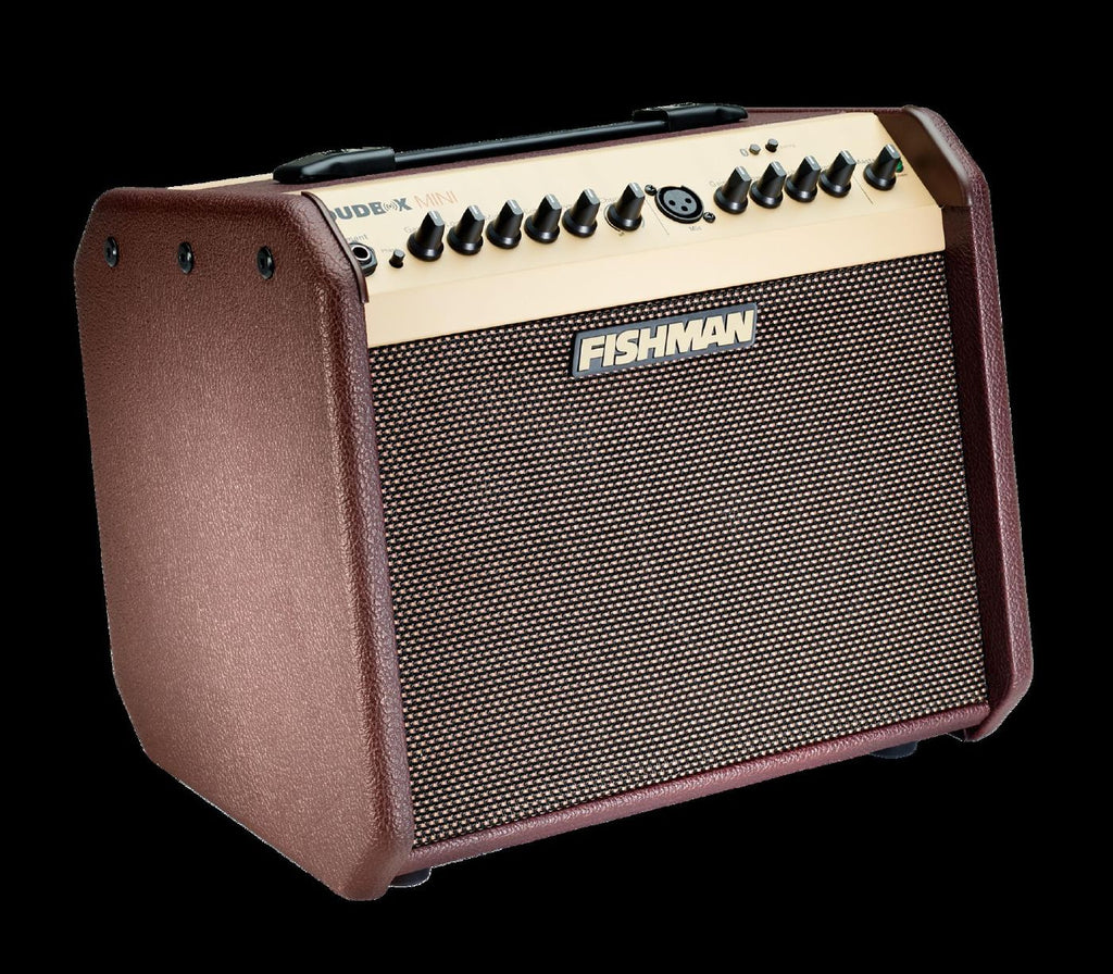 Fishman Loudbox Mini Bluetooth Acoustic Guitar Amplifier