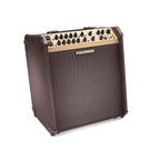 Fishman Loudbox Performer Acoustic Amp w Bluetooth