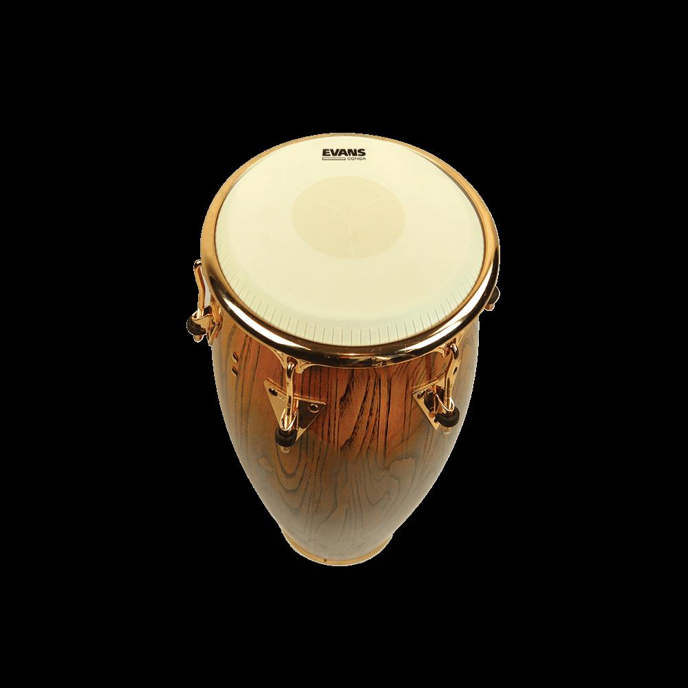 Evans Tri-Center Extended Collar Conga Drum Head for 11-inch congas, showing the black drum head with detailed branding.
