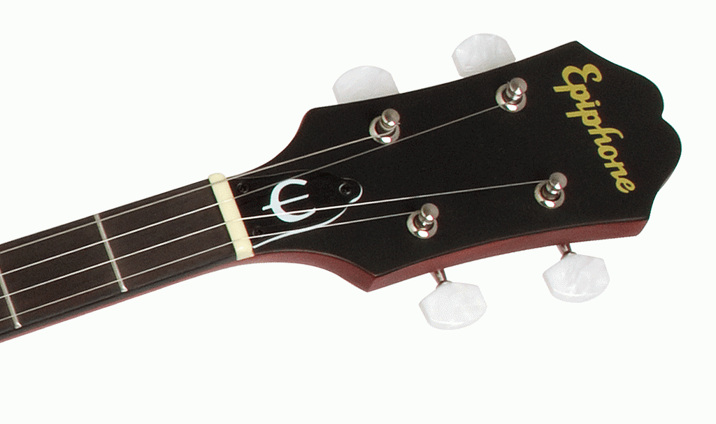 Epiphone MB100 5-string open back banjo in vintage satin brown with wooden resonator and metal tuning pegs, ideal for folk and bluegrass.