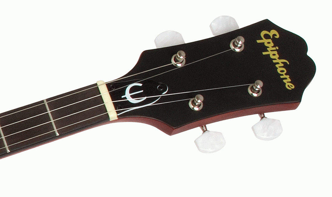 Epiphone MB100 5-string open back banjo in vintage satin brown with wooden resonator and metal tuning pegs, ideal for folk and bluegrass.