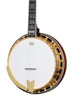 Epiphone Earl Scruggs Golden Deluxe Banjo Vintage Sunburst