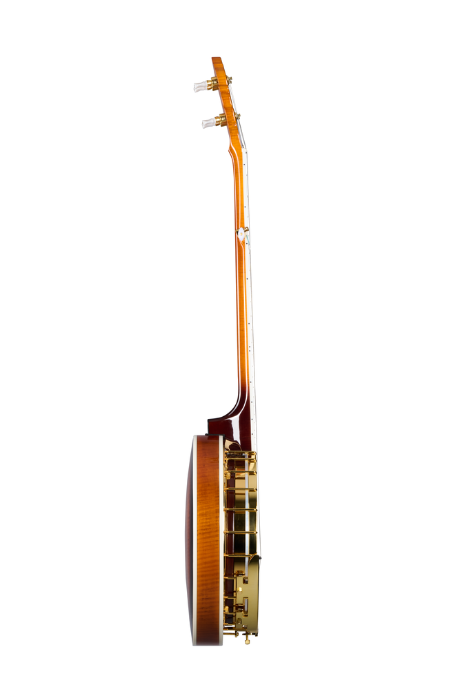 Epiphone Earl Scruggs Golden Deluxe Banjo Vintage Sunburst