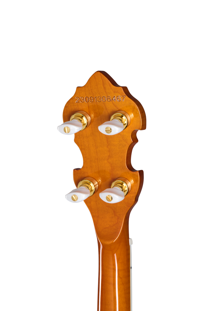 Epiphone Earl Scruggs Golden Deluxe Banjo Vintage Sunburst