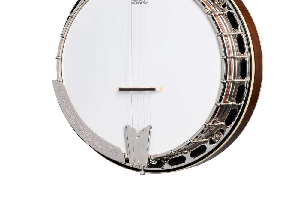 Epiphone Mastertone Classic Banjo Natural