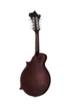 Epiphone F-5G Mandolin Cremona Sunburst