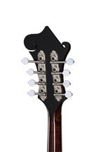 Epiphone F-5G Mandolin Cremona Sunburst