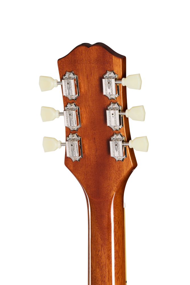 Electric guitar by EPIPHONE, Les Paul Standard '50s model in Inverness Green with a black guitar bag, shown from the front.