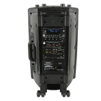 E-Lektron UHF30-M 700W 12 Portable Bluetooth PA Speaker with 2 Wireless Microphones