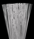 Meinl SB300 Standard Wire Brush