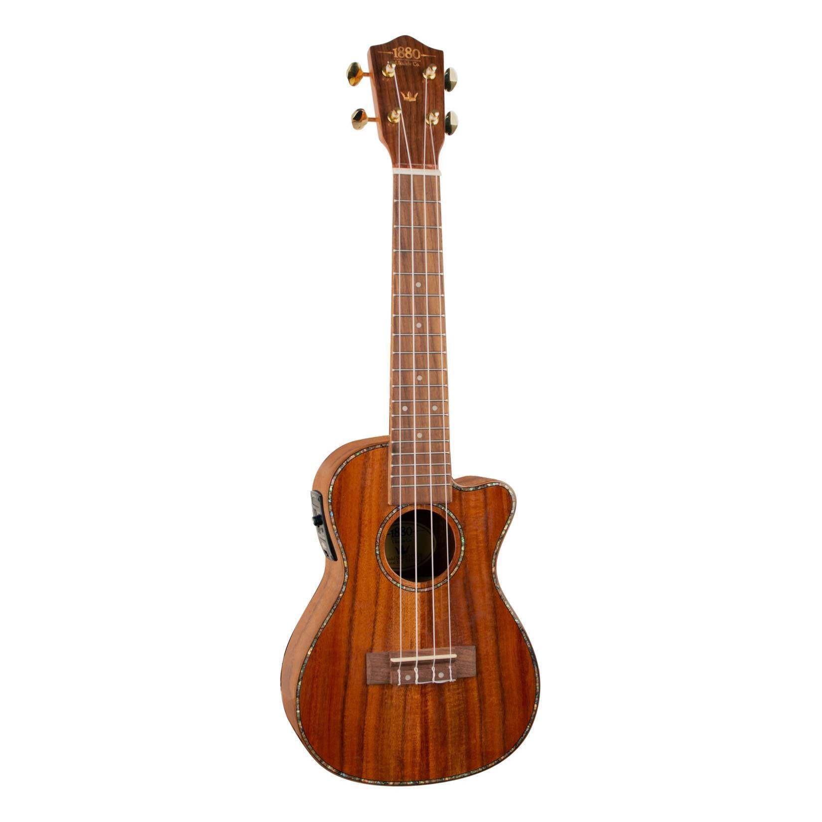 1880 EU300CENS 300 Series Concert Ukulele with Pickup