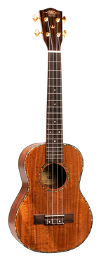 1880 EU300C 300 Series Concert Ukulele