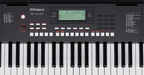 Roland E-X10 Portable Arranger Keyboard