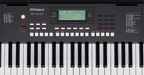 Roland E-X10 Portable Arranger Keyboard