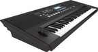 Roland E-X50 Arranger Keyboard with Bluetooth and Speaker System (Black)