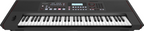 Roland E-X50 Arranger Keyboard with Bluetooth and Speaker System (Black)